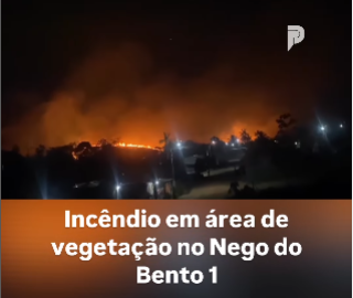 foto Notícia Novo Progresso