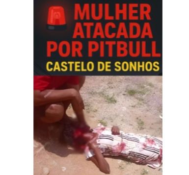 foto Not&iacute;cia Novo Progresso