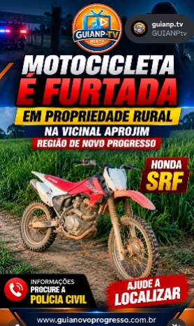 foto Not&iacute;cia Novo Progresso