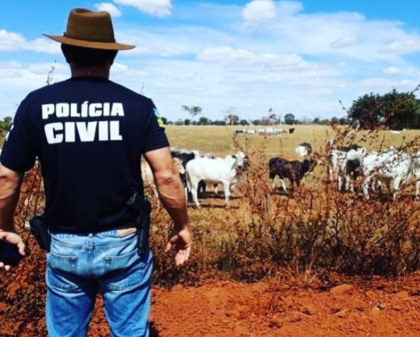 foto Notícia Novo Progresso