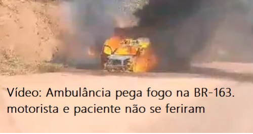 foto Notícia Novo Progresso