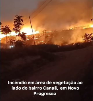 foto Notícia Novo Progresso