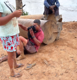 foto Not&iacute;cia Novo Progresso