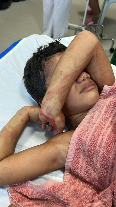 foto Not&iacute;cia Novo Progresso