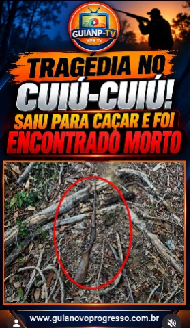 foto Not&iacute;cia Novo Progresso