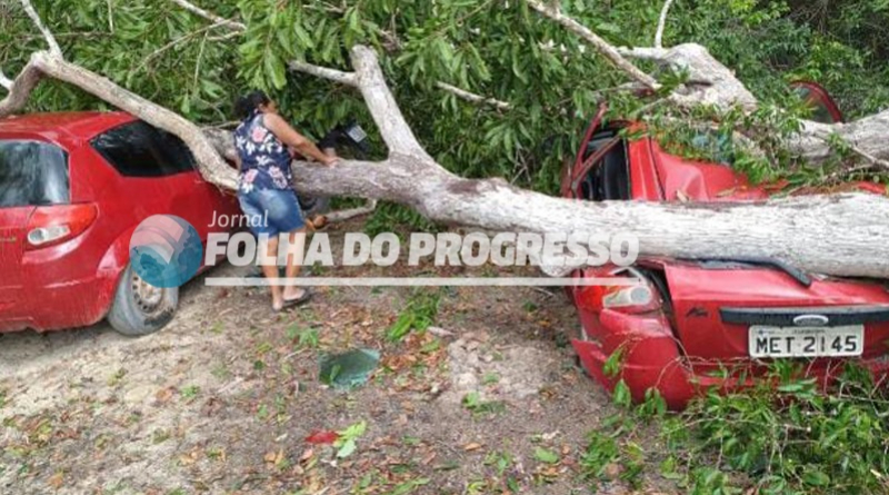 foto Notícia Novo Progresso