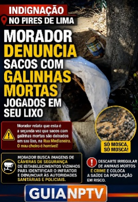 foto Not&iacute;cia Novo Progresso