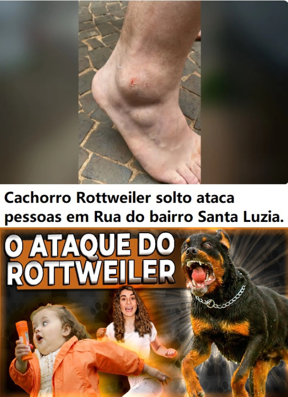 foto Notícia Novo Progresso