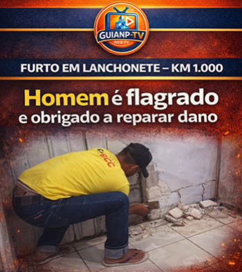 foto Not&iacute;cia Novo Progresso