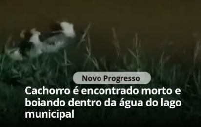 foto Notícia Novo Progresso