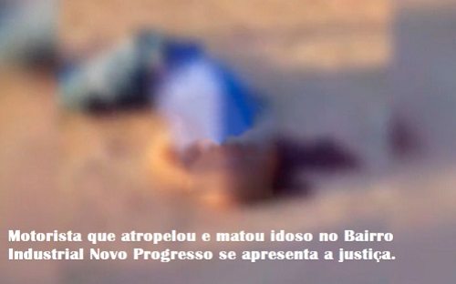 foto Notícia Novo Progresso