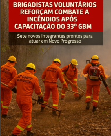 foto Not&iacute;cia Novo Progresso