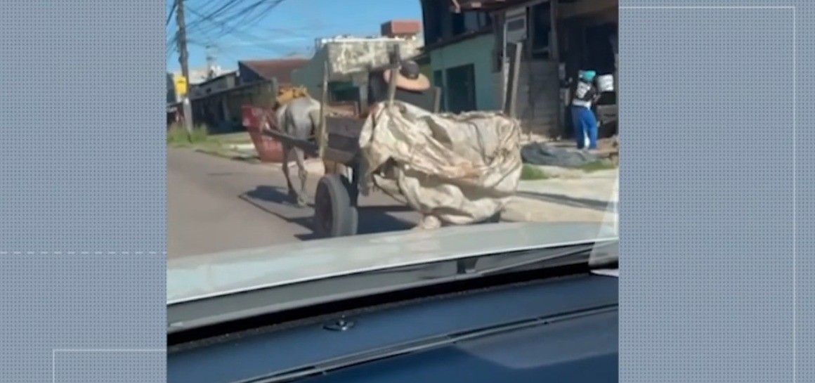 foto Not&iacute;cia Novo Progresso