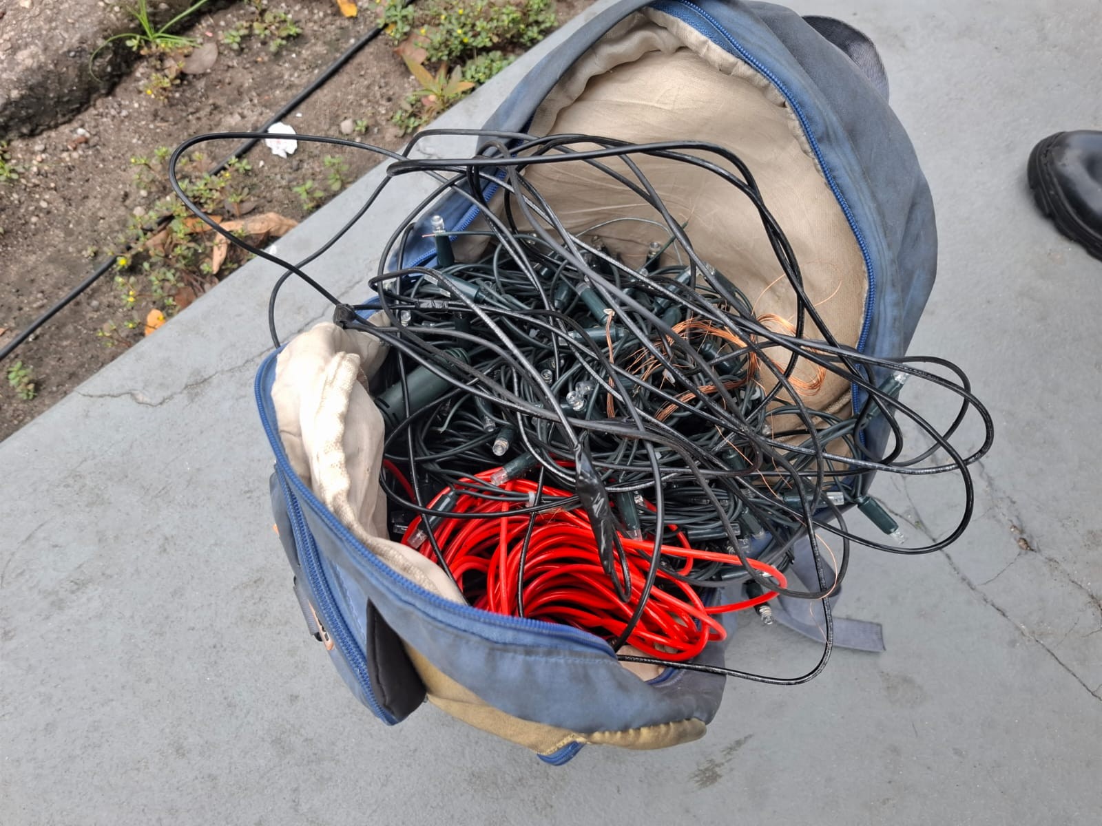 foto Not&iacute;cia Novo Progresso